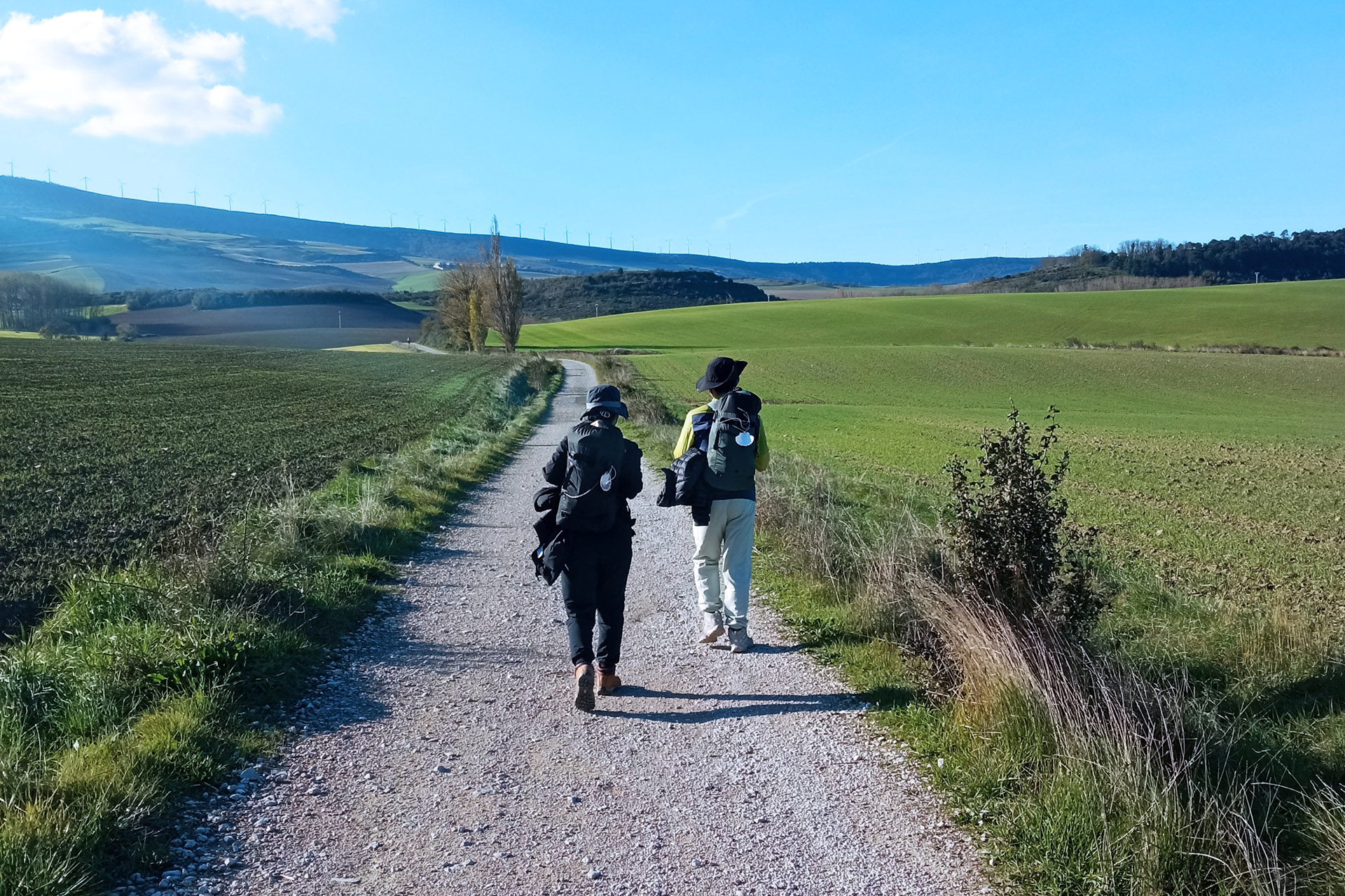 La Dirección General de Turismo encarga un diagnóstico de la situación en los 401 km de las 5 rutas jacobeas a su paso por Navarra
