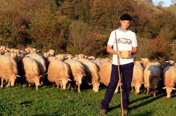 Foto de artículo con pastor con queso y ovejas